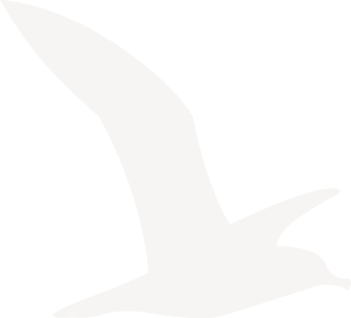 Nos locations 6 deco oiseau