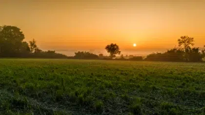 Bocage Normand 3 webp bocage normand