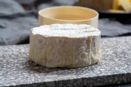 Gastronomy 3 webp gastronomie