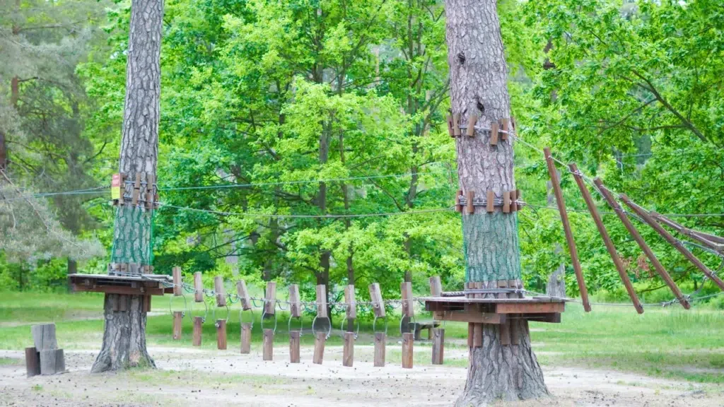 AdobeStock 1508391566